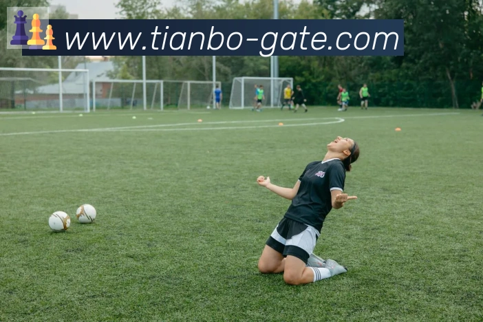 天博官网APP 高清赛事图