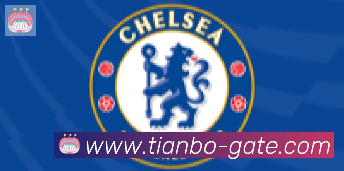 天博官网合作伙伴