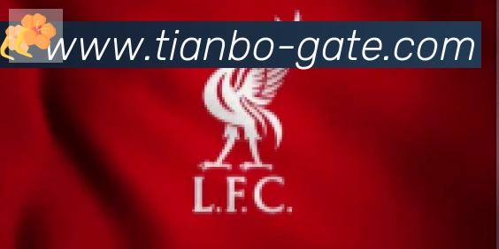 天博官网合作伙伴