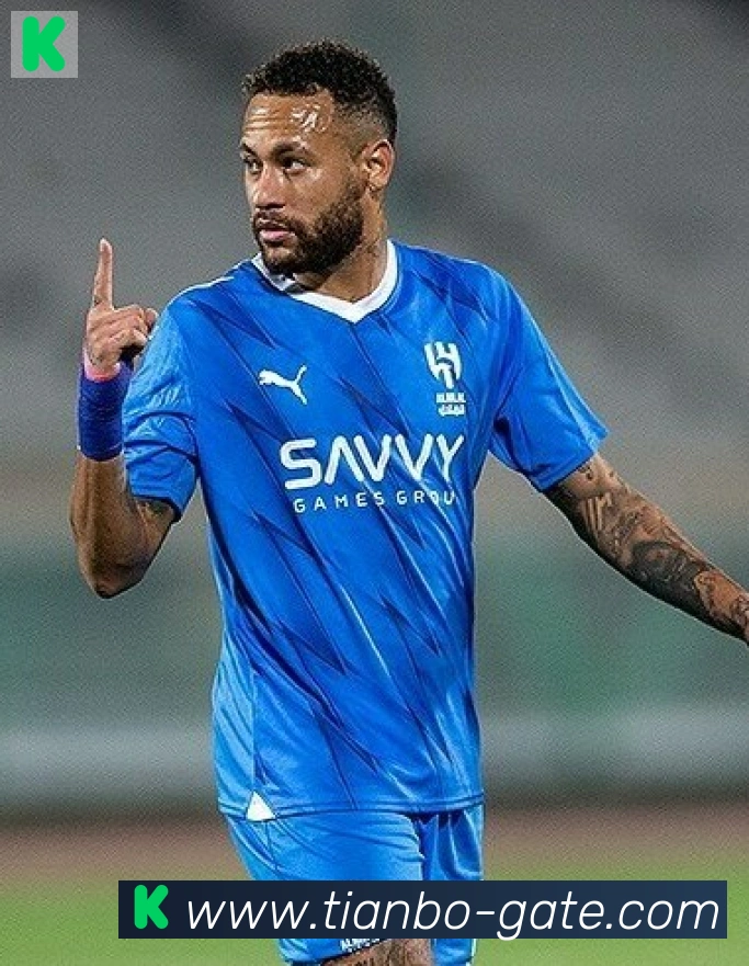 维尼修斯